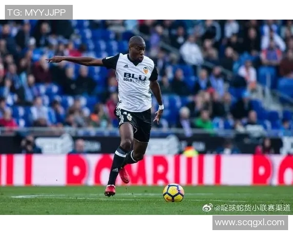 足球蛇货的规律解析与市场趋势的深度剖析与应对策略