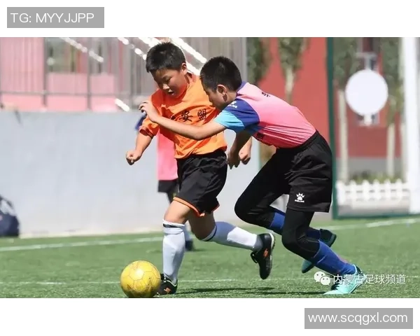 足球封面猫的奇妙冒险与球场上的精彩瞬间